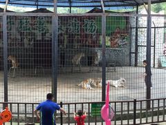 -贵州森林野生动物园