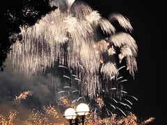 -珠江夜游西堤码头
