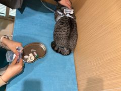 -美迦爱-牙专科·兔科·骨科诊疗中心(北苑店)