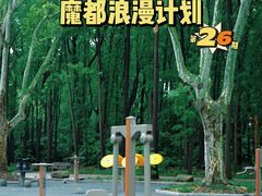 -上海共青森林公园