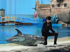 -华夏文旅海洋公园