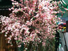 -田婆婆的菜(海口友谊阳光城店)