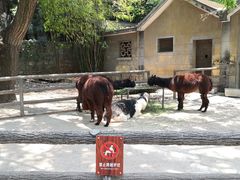 -昆明动物园