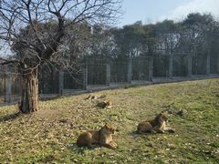 -西安秦岭野生动物园