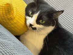 -路易时光(蕴川路店)