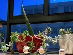 -王红军龙虾(新民路店)