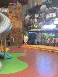 -卡通尼·Safari非洲探索乐园·生日会(金桥国际商业广场店)