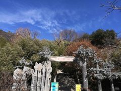 -王顺山国家森林公园