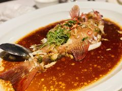 清蒸东星斑-伯衡55·吉品轩(乌鲁木齐南路店)