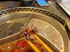 -小龙坎老火锅(北京三里屯店)