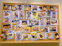 -逗柴咖啡屋·狗咖猫咖宠物桌游