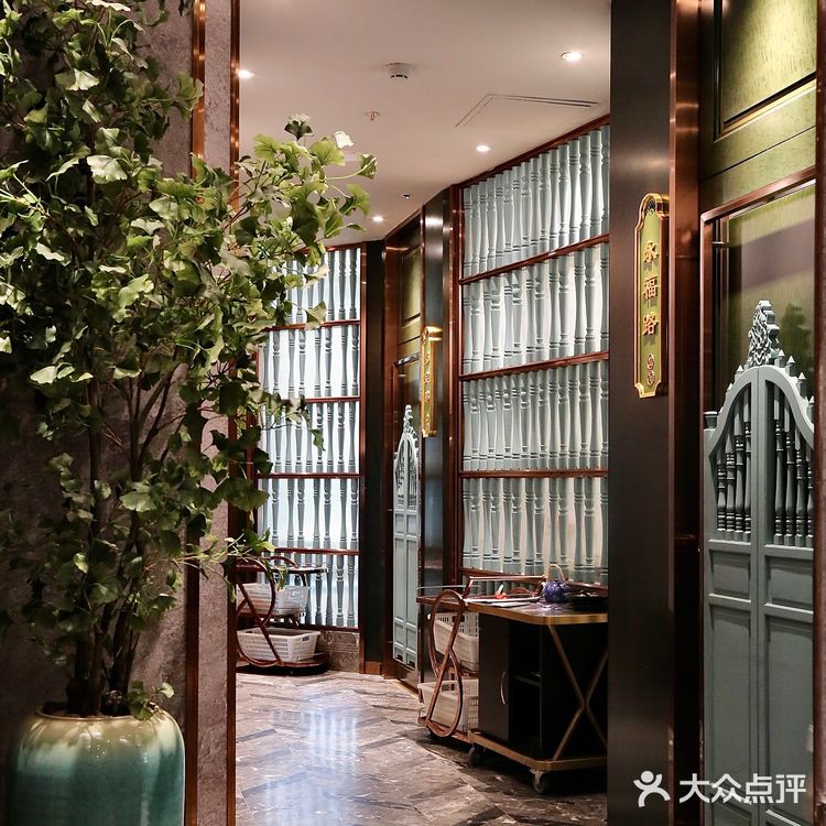 深圳入冬首选｜热腾腾的双冬羊腩煲