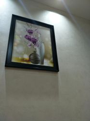 -MJ美肌专业皮肤管理中心