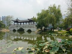 -飞来湖湿地公园