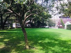 -复旦大学附属华山医院(总院)
