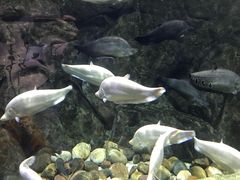 -成都浩海立方海洋公园