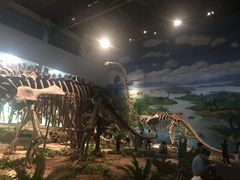 -自贡恐龙博物馆