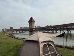 -九龙湖公园