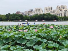-南翔镇银翔湖公园