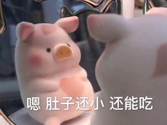 -海底捞火锅(方塔东街店)