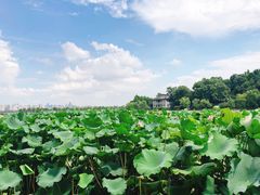 -杭州西湖风景名胜区-北街寻梦