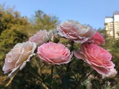 -人民公园(罗湖区)