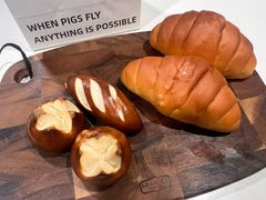 -WHEN PIGS FLY当猪飞