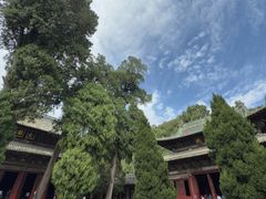 -报恩寺(平武县)