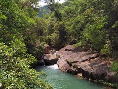 -广州白江湖森林公园