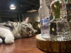 -咖法森林·咖啡  酒吧(天河店)