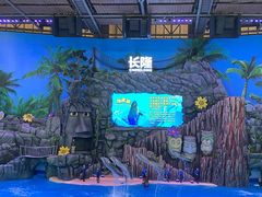 -珠海长隆海洋王国
