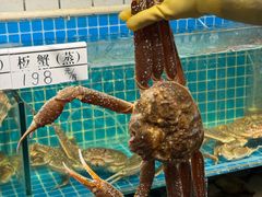 -震海贝烤贝·民俗特色店(延吉总店)