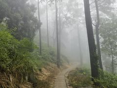 -莫干山风景区