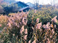-西湖风景区-江洋畈生态公园