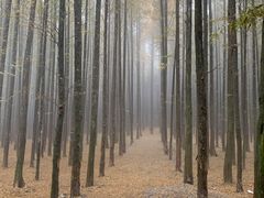 -山王坪喀斯特国家生态公园