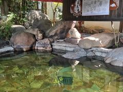 -唐风温泉