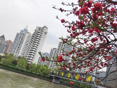 -运河游船(武林门码头)