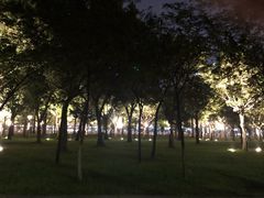 -珠江夜游广州塔·中大码头