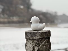 -秦岭终南山世界地质公园翠华山景区