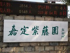 -嘉定紫藤园