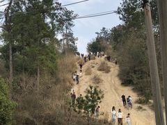 -青龙山国家森林公园