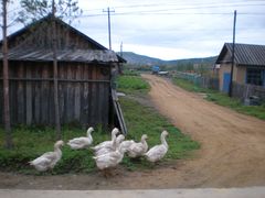 -北极村旅游风景区