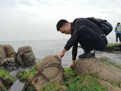 -八大关景区