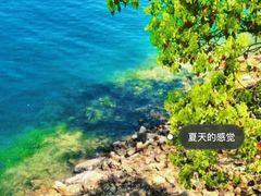 -全乐鱼馆·淳牌有机鱼直营店