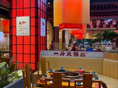 -一斗火锅·招财羊毛肚(泰吉滨江店)