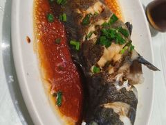 -洲晓鲜·舟山海鲜大排档(朱家尖风景区店)