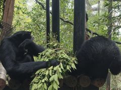 -广州长隆野生动物世界