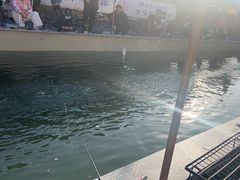 -DGE季风钓虾营地·团建·聚会