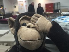 -宜家家居(西安未央商场店)