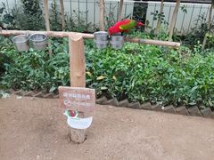 -南宫五洲植物乐园